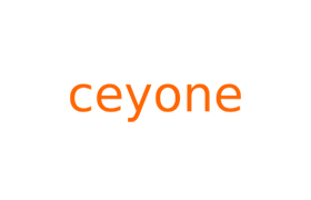 Placement and Training - Ceyone Hiring