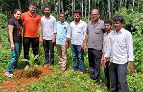planted_saplings